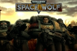 Warhammer 40,000: Space Wolf